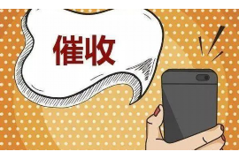 宜兴债务清欠服务